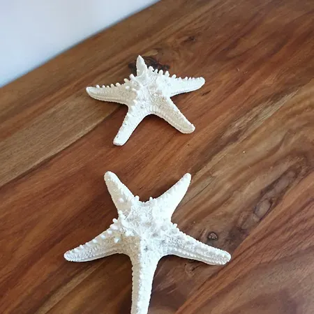 Vistamare La Fonte Nisporto