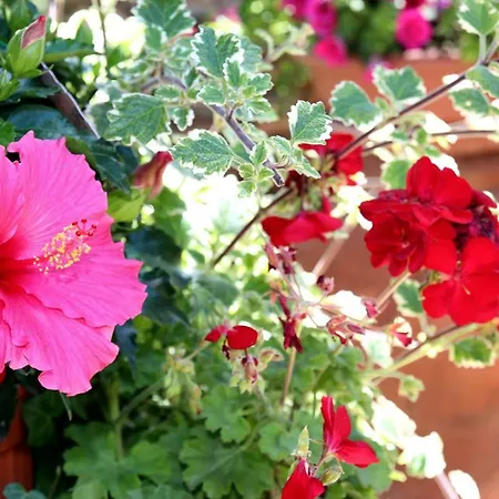 Vistamare La Fonte 3* Nisporto